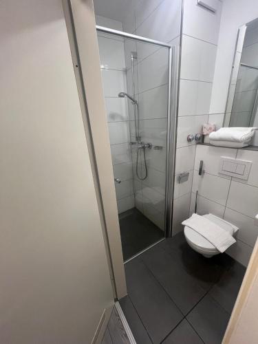 a bathroom with a shower and a toilet at Upper-House Goldener Hirsch in Aystetten