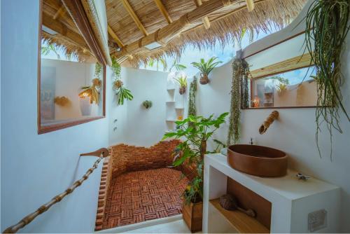 Κήπος έξω από το ALOE Ecological Beach & Jungle Villas