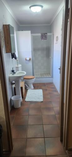 a bathroom with a toilet and a sink and a shower at Prieska Kokerrus in Prieska