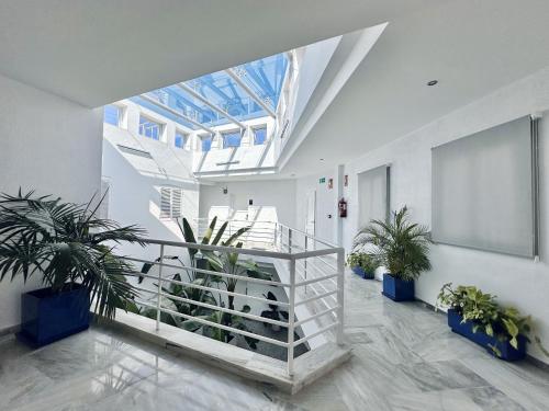 a hallway with potted plants in a building at Hotel Apartamentos Marina Luz in Chipiona