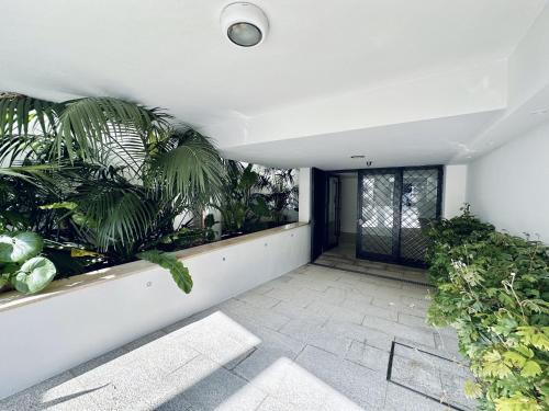 an indoor garden in a house with plants at Hotel Apartamentos Marina Luz in Chipiona