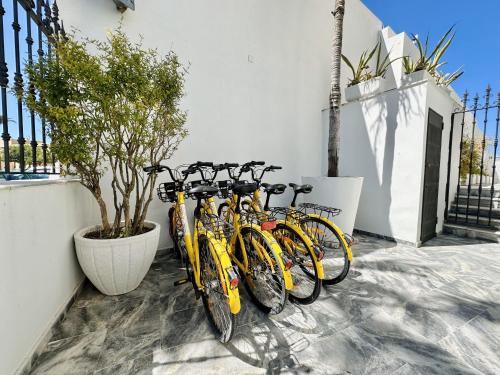 a group of bikes parked next to a wall at Hotel Apartamentos Marina Luz in Chipiona