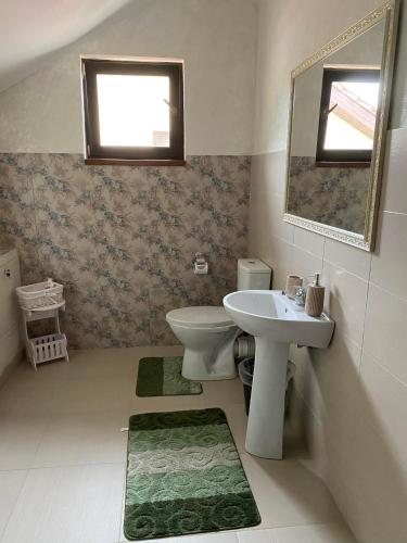 a bathroom with a sink and a toilet and a mirror at Pensiunea Floris in Vaţa de Jos