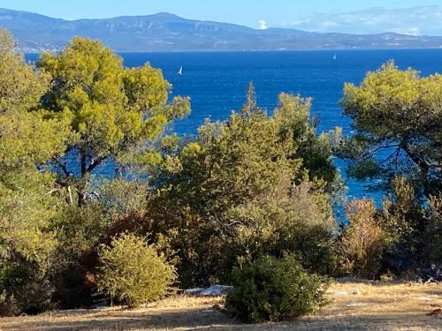 a view of the ocean from a hill with trees at Galini apartment in Grammatiko