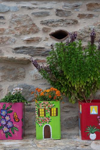 a green and pink house next to a stone wall at 1924 Studios 4 in Áyios Pétros