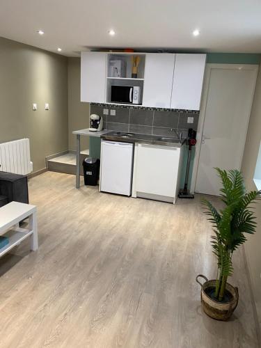 une cuisine avec des armoires blanches et une usine dans une pièce dans l'établissement Appartement 7 - Hyper centre - 1 à 4 personnes, à Douai