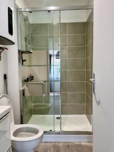 une salle de bain avec douche et toilettes dans l'établissement Studio Menthe à l'eau - Avec extérieur - Futuroscope 20min, à Châtellerault