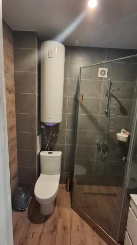 ポリアナにあるАпартаменти у Сонячному Закарпаттіのトイレとシャワー付きのバスルーム