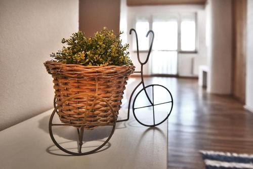 a basket on a table with a plant in it at Priestranný, svetlý apartmán in Podtureň