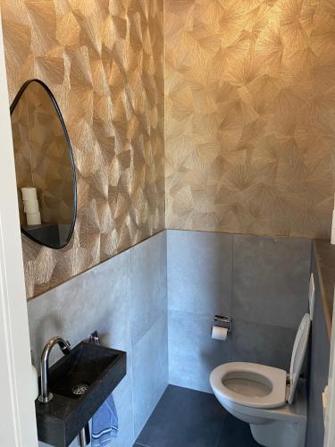 a bathroom with a toilet and a sink and a mirror at Appartement Zeldam in Ambt Delden