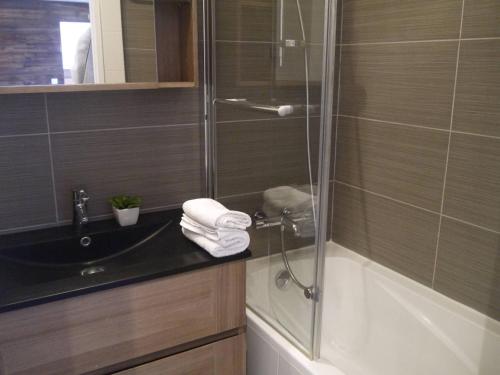 une salle de bain avec une douche, un lavabo et une baignoire dans l'établissement Appartement 2 chambres avec mezzanine, piste skis aux pieds - FR-1-355-77, à Méribel