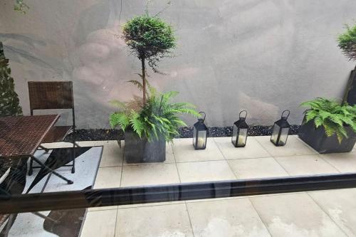 a group of potted plants sitting on a patio at Stylish new 2 bedroom apartment in London