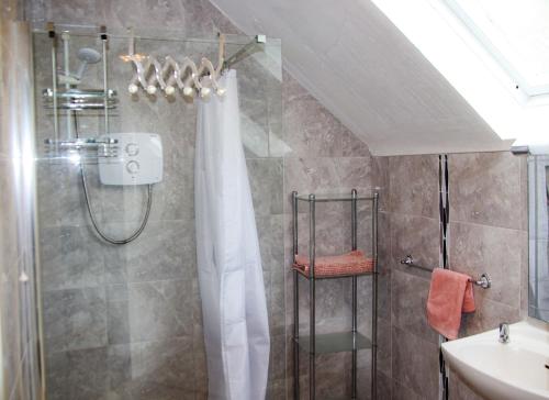 a bathroom with a shower with a shower curtain at Dunmore Villas Holiday Home No 1 by Trident Holiday Homes in Dunmore East