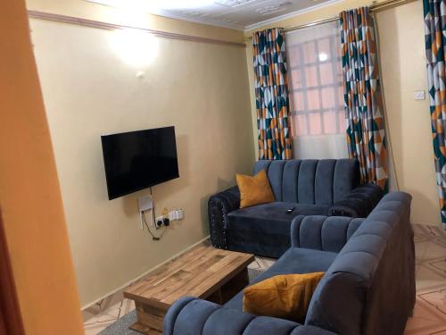 a living room with a couch and a tv at Mt zion penthouse in Lake View Estate