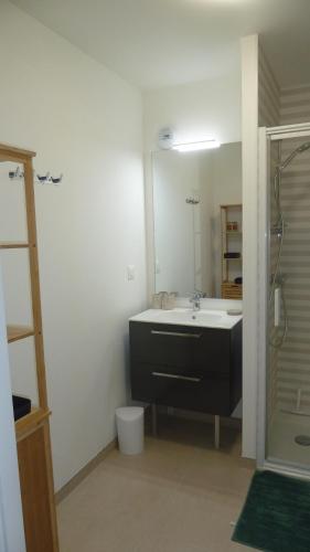 une salle de bain avec un lavabo et une douche dans l'établissement Les Pins 208, aux Sables-dʼOr-les-Pins