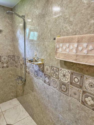 a bathroom with a shower with a glass door at guest house zizi in Ambrolauri