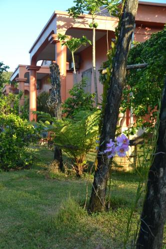 a tree in front of a house with a purple flower at Hotel Nautile in Sainte Marie