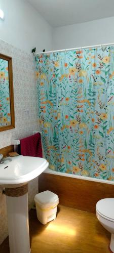 a bathroom with a sink and a toilet and a shower curtain at Casa Cueva Rural Trébola, Artenara in Juncalillo