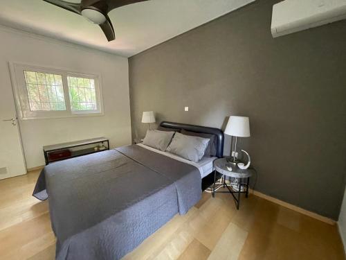 Vouliagmeni Green Hill Apartment