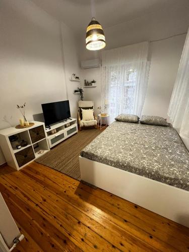 a bedroom with a bed and a flat screen tv at Central Comfort Guesthouse in Larisa