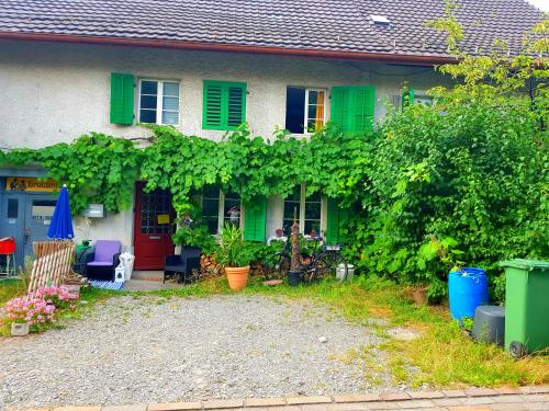 a house with green shutters and a lot of plants at Men's Dormitory - Männerschlafsaal in Brüttisellen