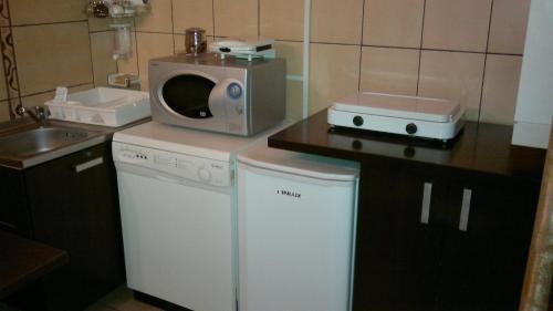 a kitchen with a microwave and a washing machine at Casa De Vacanta Elena in Sinaia