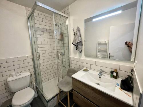 une salle de bain avec toilettes, lavabo et douche dans l'établissement Le repère du voyageur, à Nantes
