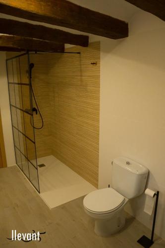 a bathroom with a toilet and a shower at Casa Garí in Horta de San Joan