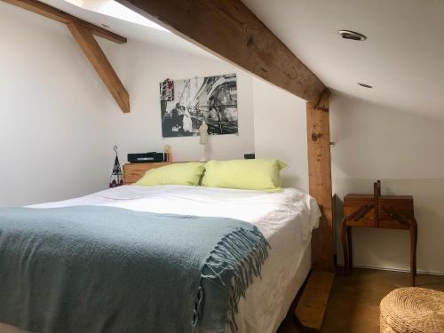 Duplex atypique proche Montparnasse & parc expositions