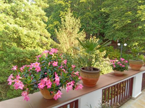 Gallery image of Pension Baron Schoeneck in Karlovy Vary