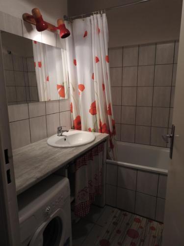 Ένα μπάνιο στο studio aux pieds des cimes