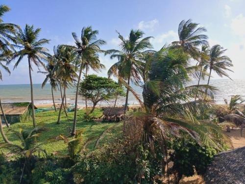 a view of a beach with palm trees and the ocean at Dolphin Village in Kalpitiya