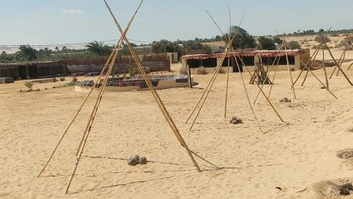 a group of sticks in the sand on a beach at مخيمات وادى الريان بالفيوم in Qaryat Ḩātim aţ Ţāʼī