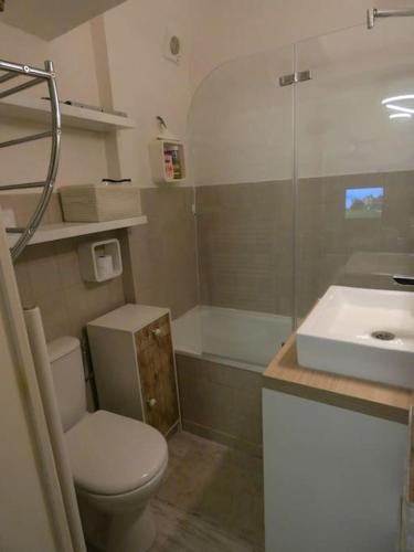 une salle de bain avec toilettes, lavabo et douche dans l'établissement Charmant studio au coeur du centre historique, à Périgueux
