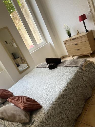 ein Schlafzimmer mit einem Bett, einer Kommode und einem Spiegel in der Unterkunft Cosy T1 30m2 avec cour en plein cœur de ville in Marmande
