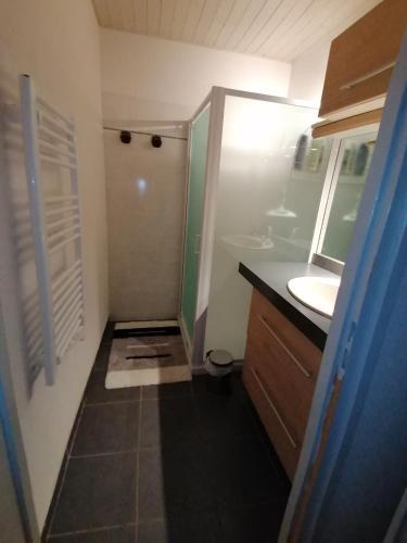 La petite salle de bains est pourvue d'une douche et d'un lavabo. dans l'établissement Gîte au calme près du lac d'Annecy, à Saint-Jorioz