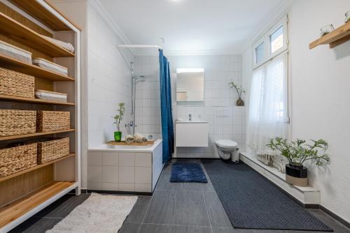 een badkamer met toilet en wastafel bij Aparthotel Mama Home Stankt Georgen in St. Gallen