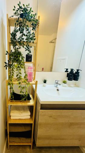 une salle de bain avec un lavabo et un miroir dans l'établissement Moderne Cosy T2 à Évry, à Étiolles