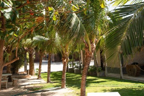 a row of palm trees in a park with a bench at Villa Jaguaribe in Fortim
