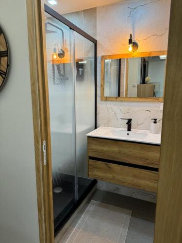 une salle de bain avec un lavabo et une douche en verre dans l'établissement APPARTEMENt COSY, à Nice