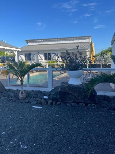 una casa con un cortile con una pianta di Gîtes Surya a Port-Louis