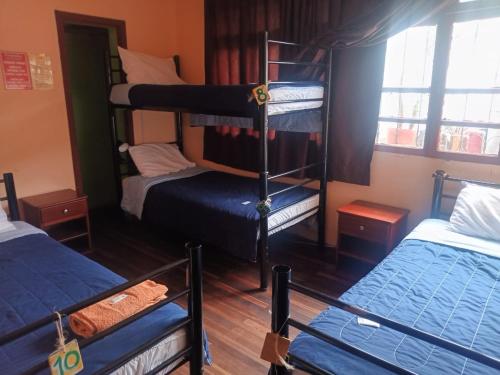 Postel nebo postele na pokoji v ubytování Friendly House & Hostel 2