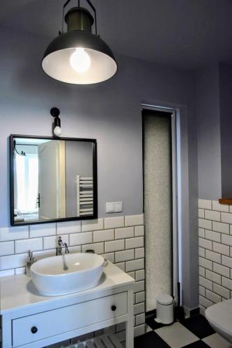 a bathroom with a white sink and a mirror at Siedlisko na Agatowej w Rudnie in Rudno