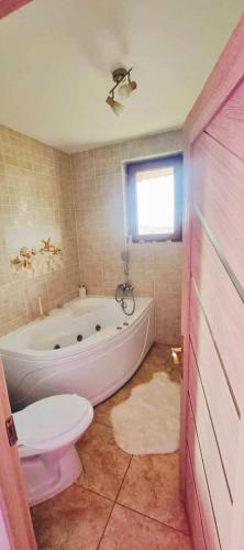 a bathroom with a tub and a toilet and a sink at Cazare Haiducita Bran in Zărneşti