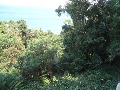 a group of trees and bushes on a hill at Apartamento Aconchegante Porto Real Resort Mangaratiba in Mangaratiba
