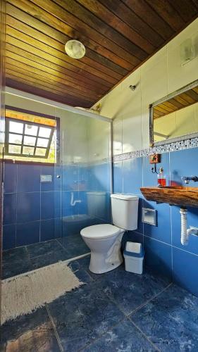a blue bathroom with a toilet and a mirror at Manacá Suítes Prumirim in Ubatuba