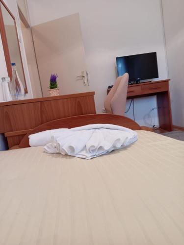 a bedroom with a bed with a desk and a television at Hotel Vlasina - Vlasinsko jezero in Lujinska Mala