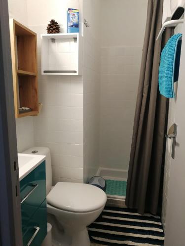 une petite salle de bain avec toilettes et douche dans l'établissement Agréable studio 50m de la plage, à Canet