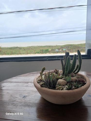 a plant in a bowl on a table in front of a window at Recanto Pequena Sereia in São Mateus