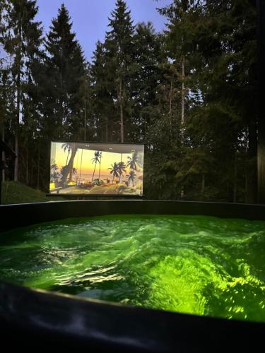 a tub filled with green water next to a screen at Chalet Látky in Látky